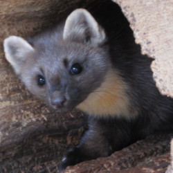 Snímek obrazovky 2026-04-22 v 18.10.49