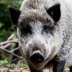 Snímek obrazovky 2026-04-22 v 18.13.15